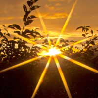 abendsonne
