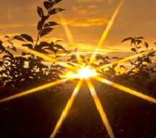 abendsonne